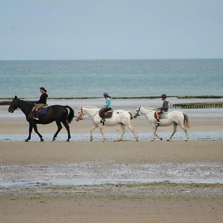 Du Chateau De 3* Quinéville